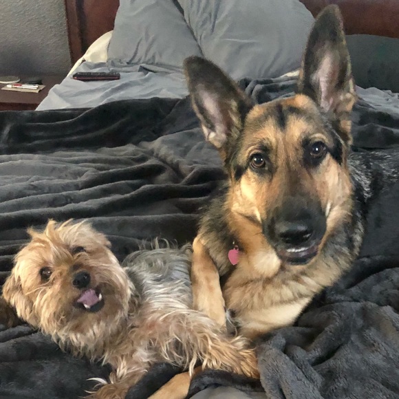 🥰Meet Your Seller..❗️ - Picture 8 of 11